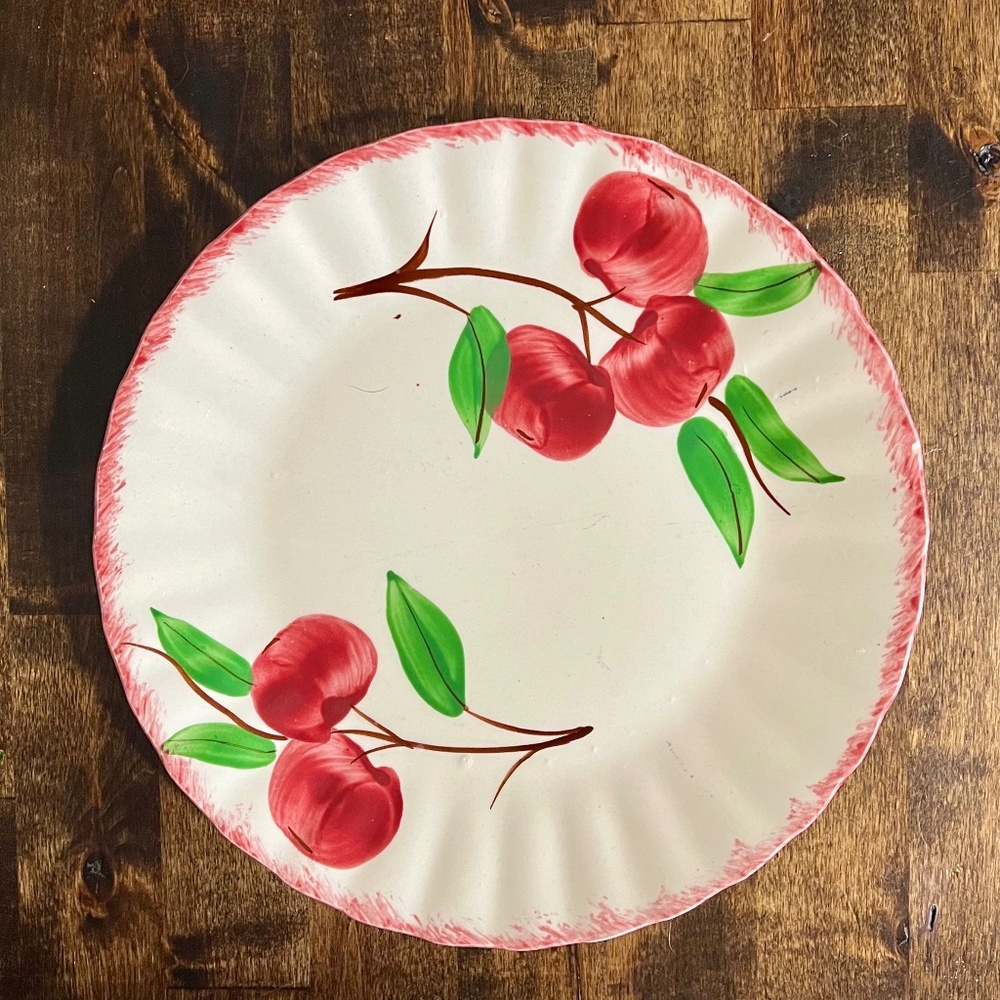 Blue Ridge Pottery Crabapple 118 Dinner Plates 9 1/2" VINTAGE Hand Painted